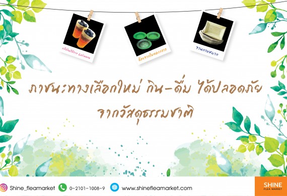 ภาชนะทางเลือกใหม่ กิน ดื่ม ได้ปลอดภัยจากวัสดุธรรมชาติ